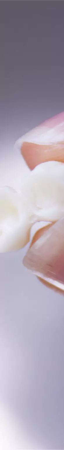 Close-up of a dental bridge held by a technician, showcasing its detailed craftsmanship.